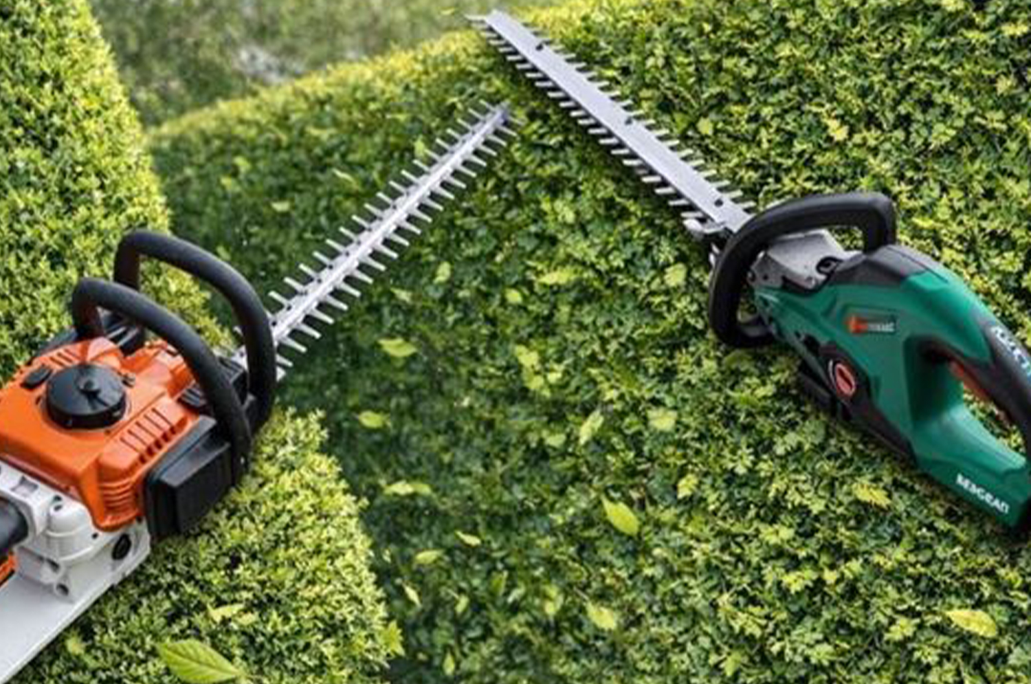 Sečenje žive ograde