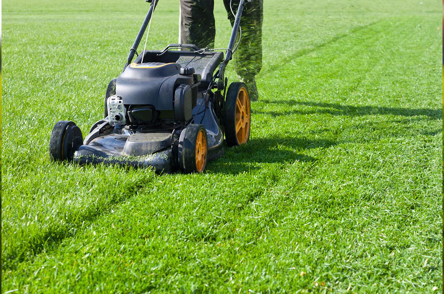 Odnošenje trave i granja Beograd
